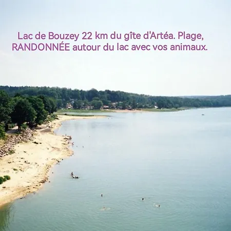Artea Parc Arbore 2,5 Ha 2 A 6 Personnes 20mn Des Thermes De Vittel Et Contrexeville 펜션 Hagecourt